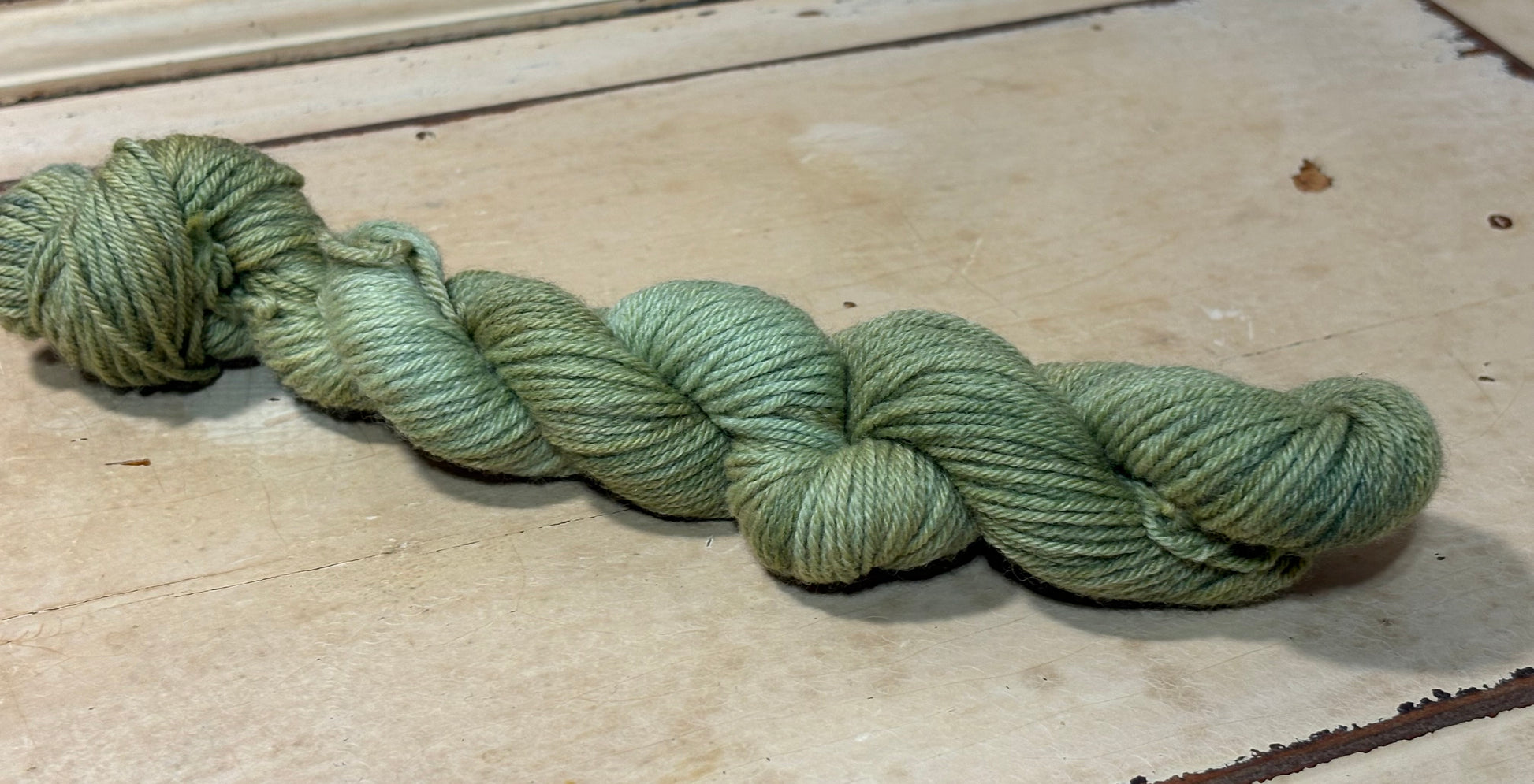 One-of-a-kind, hand-dyed yarn in Mosslight by The Curious Skein - 80% merino wool/ 20% nylon. 